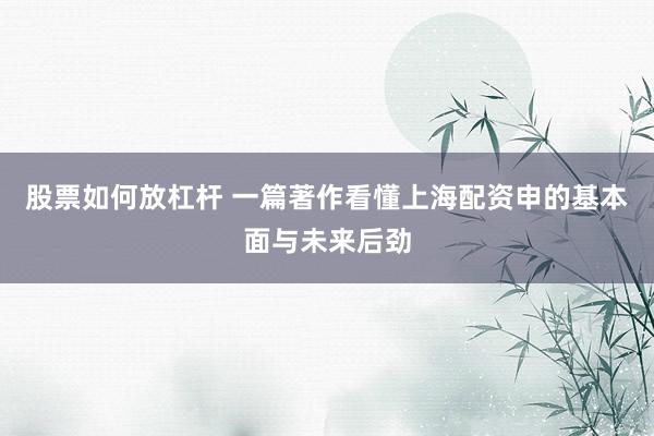 股票如何放杠杆 一篇著作看懂上海配资申的基本面与未来后劲
